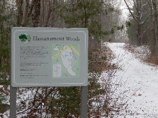 Entrance to Hassanamesit Woods