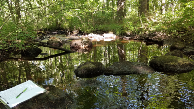 Laurel Brook monitoring site selected for a temperature logger