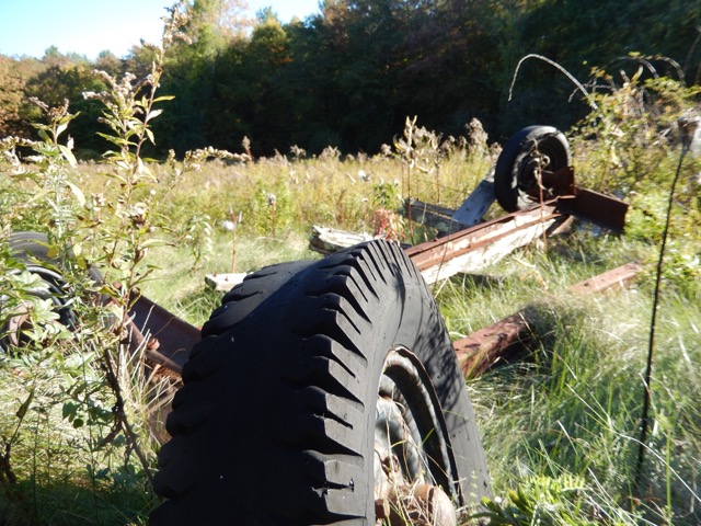 Old truck parts - remnants of farming land use.