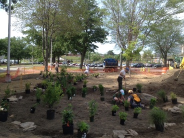 Worcester rain garden