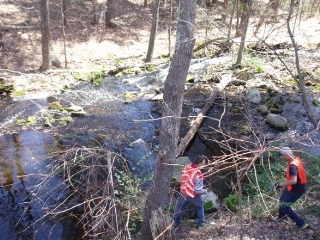 Members of the Blackstone Millville Regional H.S. varsity baseball team clean trash from Fox Brook, Blackstone.