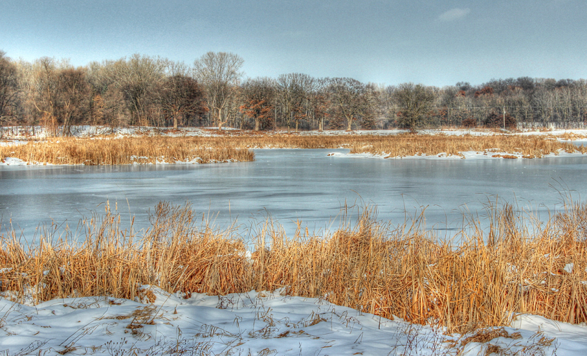 winter on the marsh