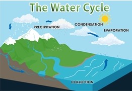 water cycle diagram