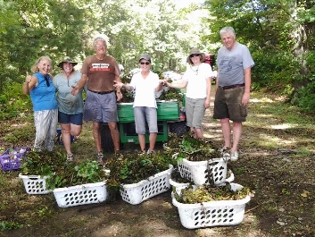 Party-goers at a 2013 Pull the Plants Party