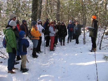 Hikers on the BRWA's hike at Hassanamesit Woods