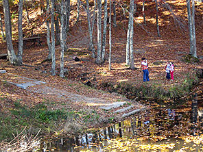 The path and steps down to the river above the dam that forms Rice City Pond